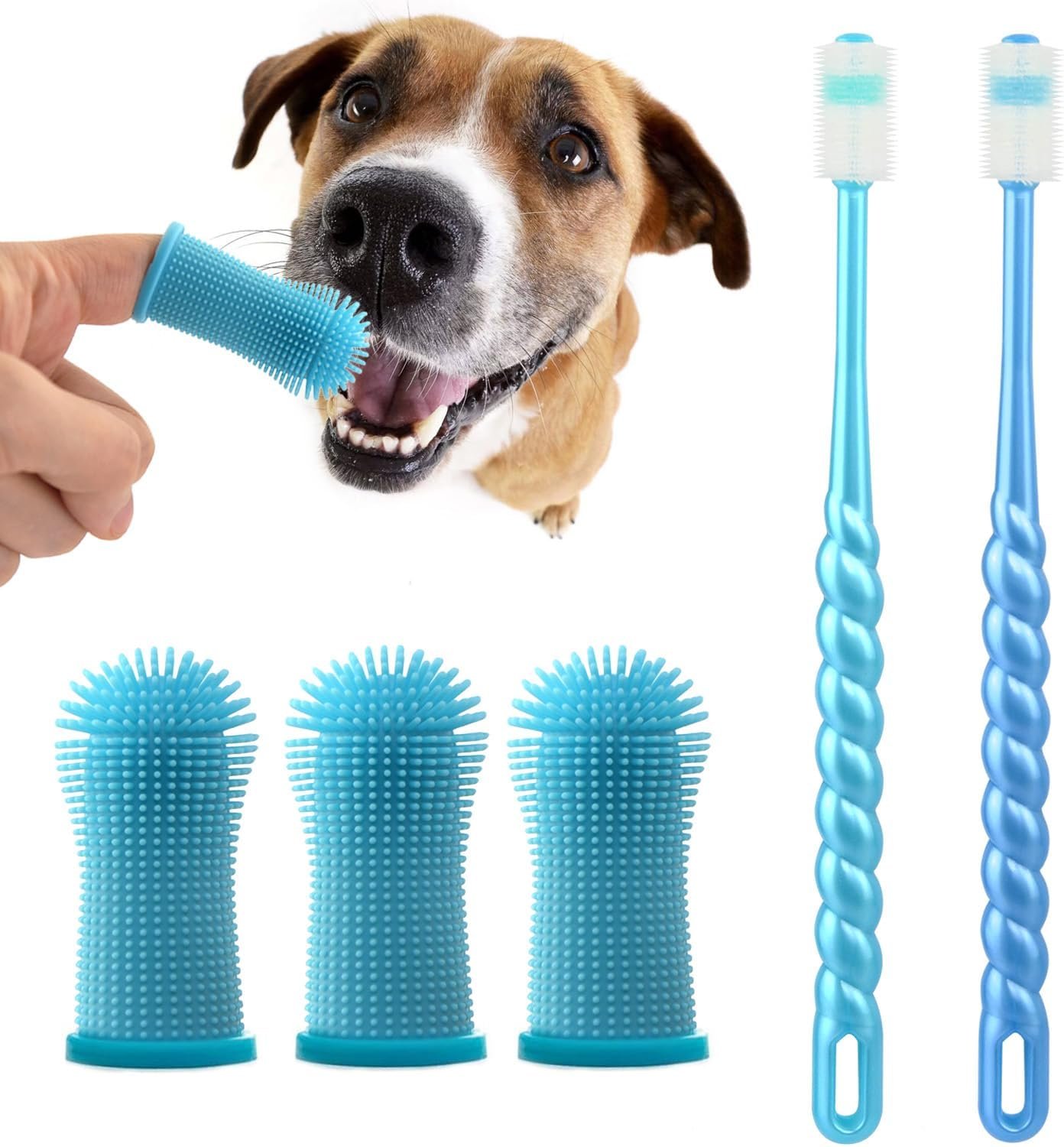 tooth brushes for dogs and a small dog